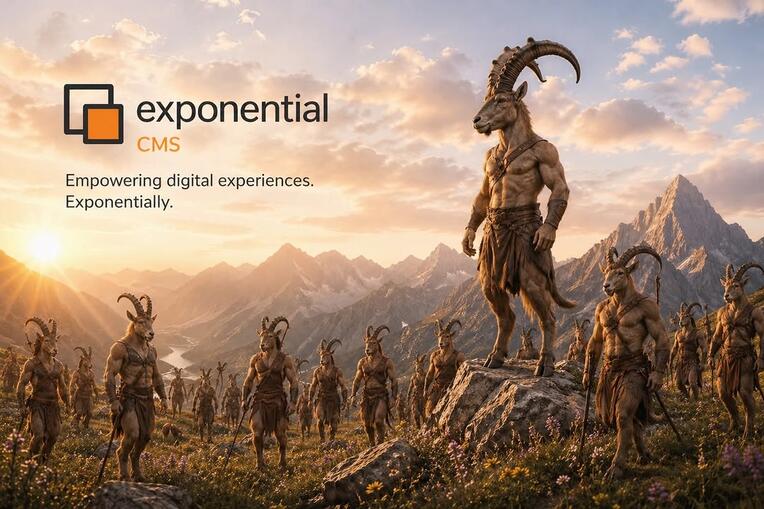 With the Exponential DXP/CMS you can become a leader of your own future and indirectly affect the lives of countless others not so different from yourself! Discover how we offer order from the chaos of the modern world the scales to exceed your own expect